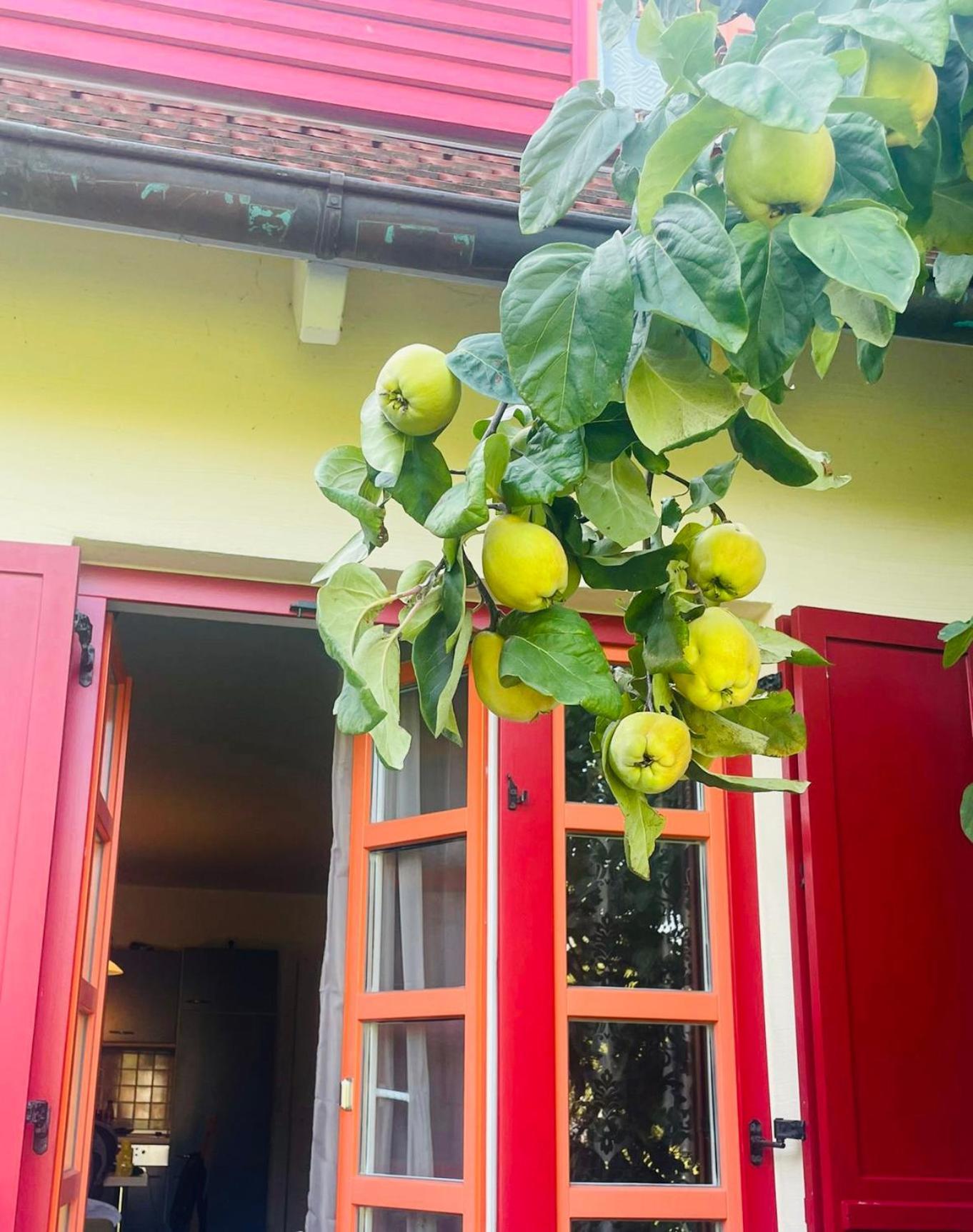 Moewenblick Bakenberg-41 Ferienwohnung Mit Terrasse, Doppelbett, Schlafsofa, Vollstaendige Komfortkueche Dranske Esterno foto
